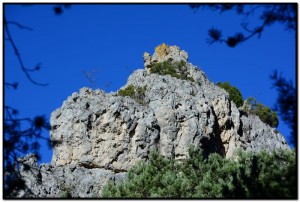 formation géobiologie esprit de la nature