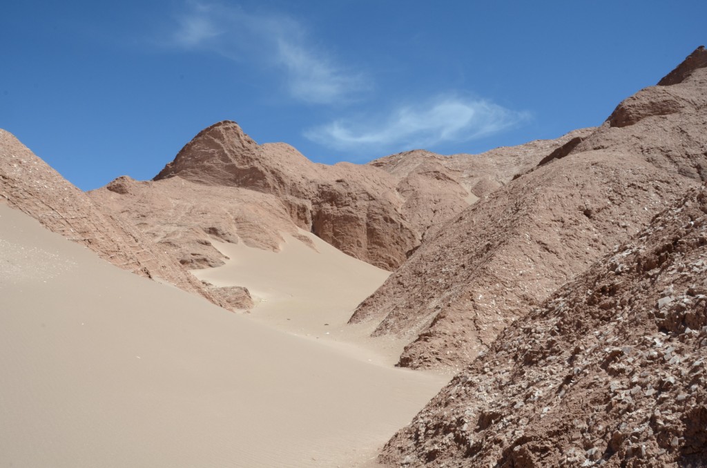 Source de la coévolution, San Pedro Atacama