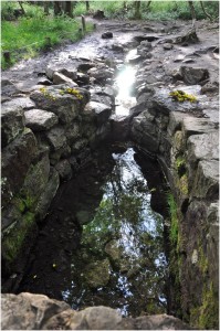 Fontaine de Barenton Brocéliande