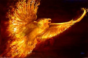 phenix esprit de la nature feu