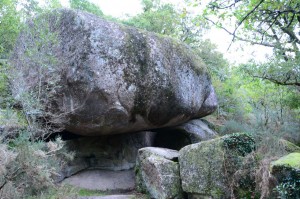 geobiologie-limousin_030