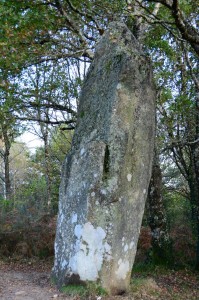 geobiologie-limousin_06
