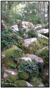 exprimer jouissance alchimique geobiologie_001