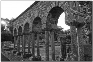 geobiologie-irlande-old-mellifont_001