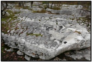 geobiologie-mise-coherence_003