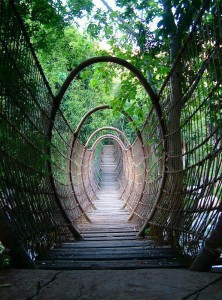 clairvoyance et géobiologie, envies envie et chemin de vie