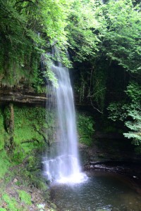 joie nature