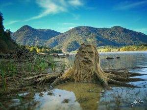 esprit-de-la-nature-troll