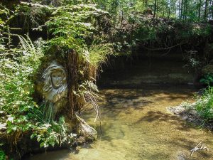 esprit-nature