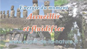 accueillir-et-fluidifier
