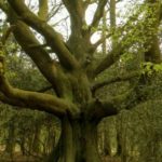 101 questions sur l'énergie et la spiritualité