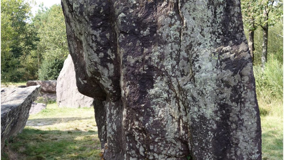 Brocéliande magique