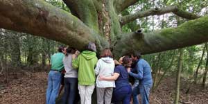 stage formation en géobiologie quantique et coévolution