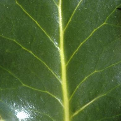 30 Expérience répétitive pourquoi et comment en sortir