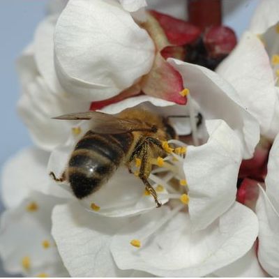 28 Lien expérience et rapport au miroir