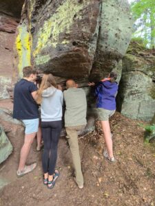 Stage géobiologie quantique et coévolution Alsace